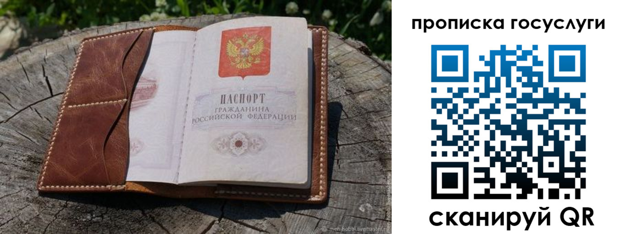 прописка для школы в Ахтубинске